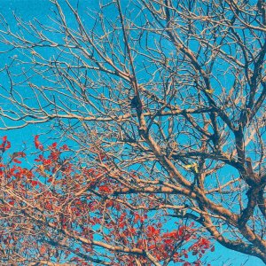 PicsArt_02-14-12.06.09.jpg