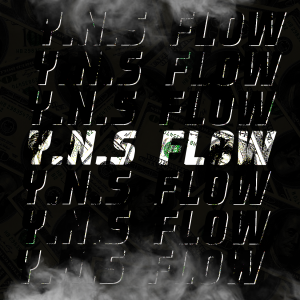 yns flow.png